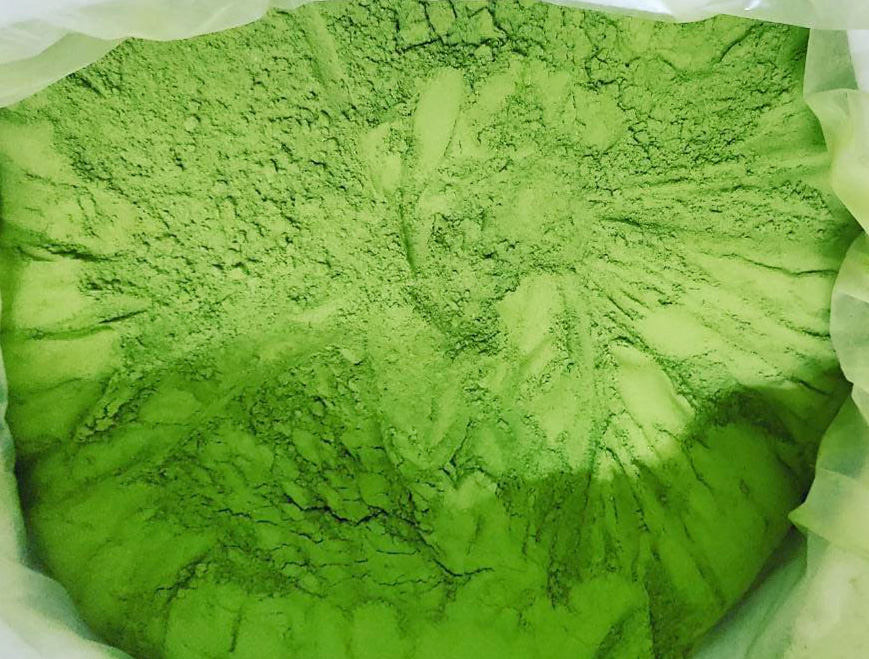 Erba d'orzo biologica